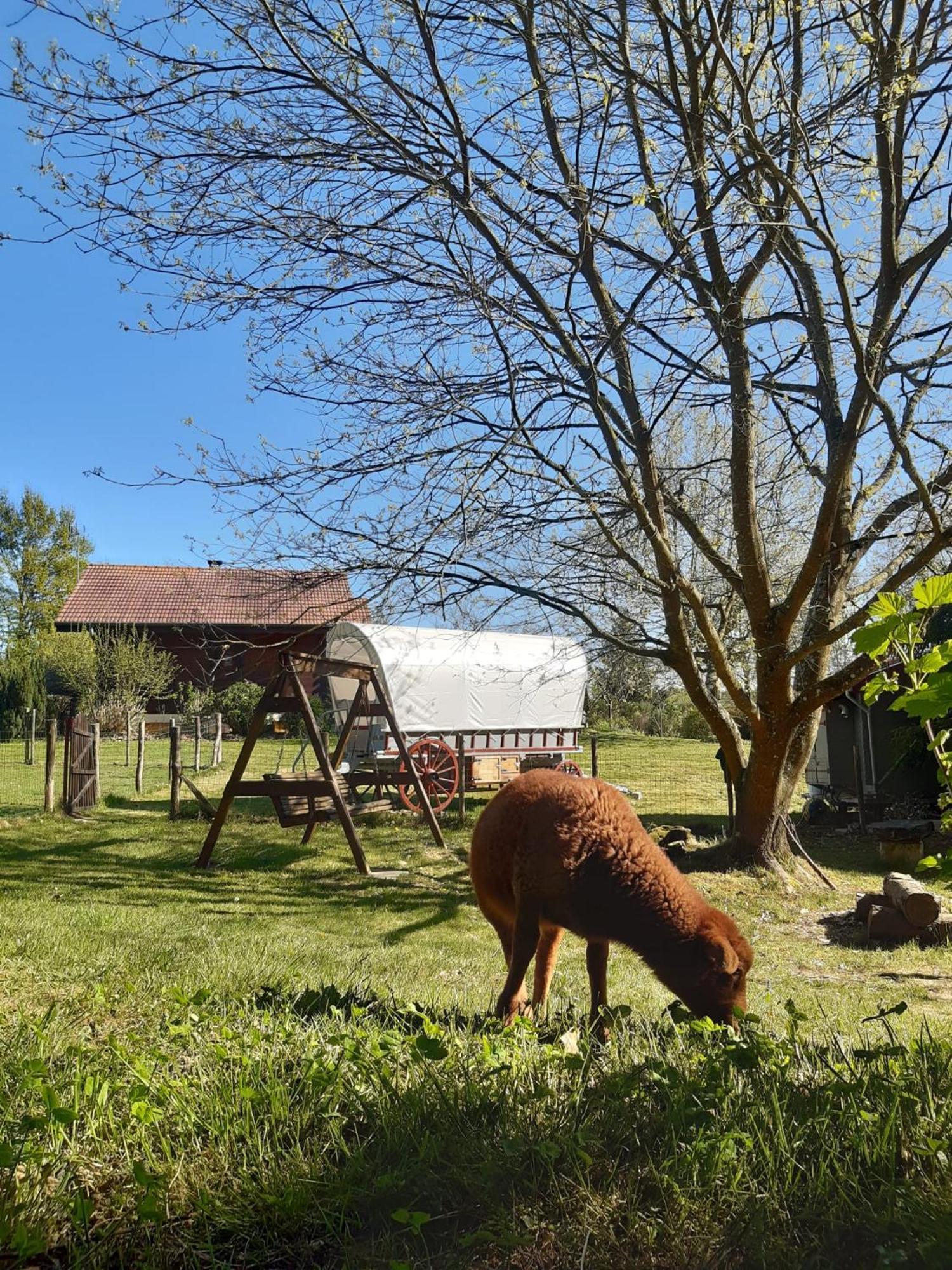 מלון Saint-Vincent-en-Bresse Roulotte Irlandaise Polly מראה חיצוני תמונה